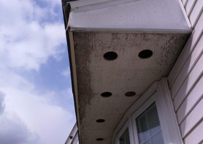 Residential Gutter Services